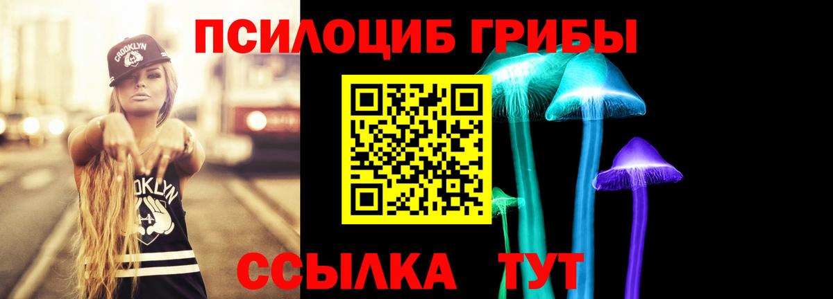 Партизанск  Псилоцибиновые грибы Cubensis  Вход с VPN 